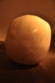 Jeden